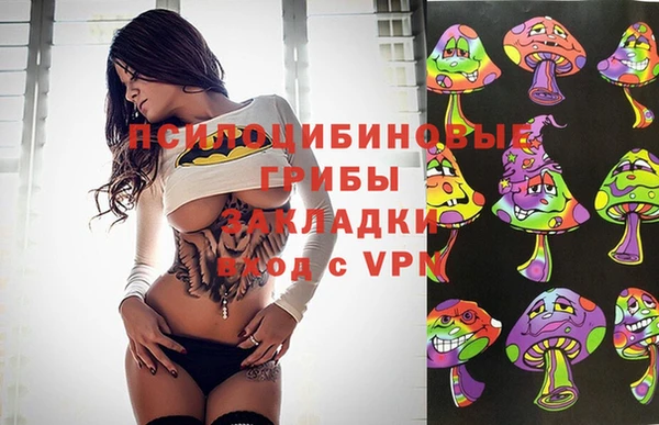 дмт Армянск