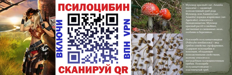 Галлюциногенные грибы MAGIC MUSHROOMS гидра Бугуруслан как найти наркотики